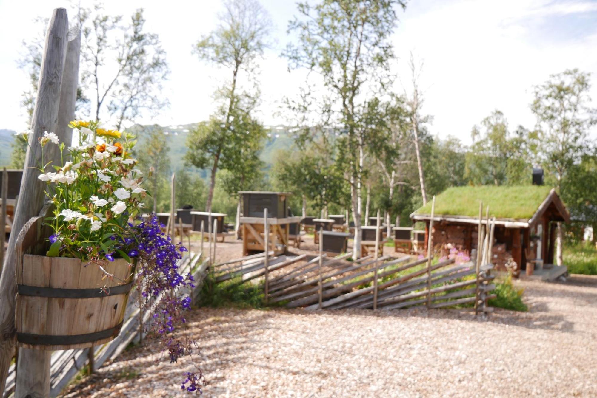 Bardu Huskylodge 外观 照片