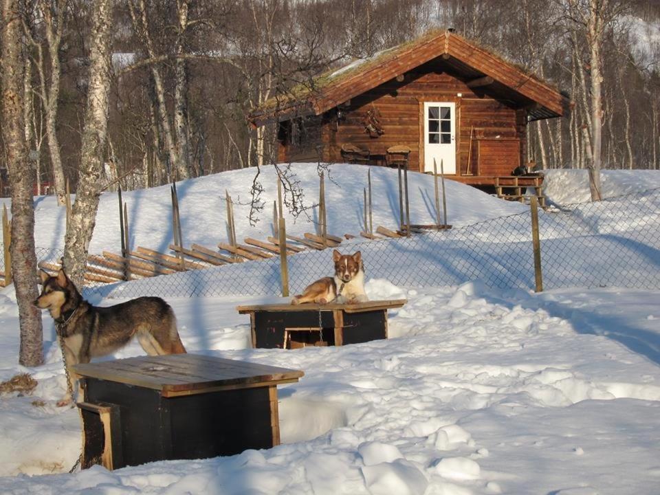Bardu Huskylodge 外观 照片