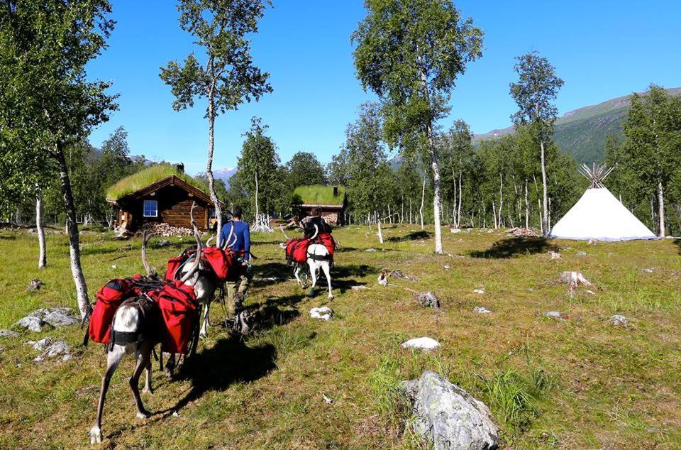 Bardu Huskylodge 外观 照片