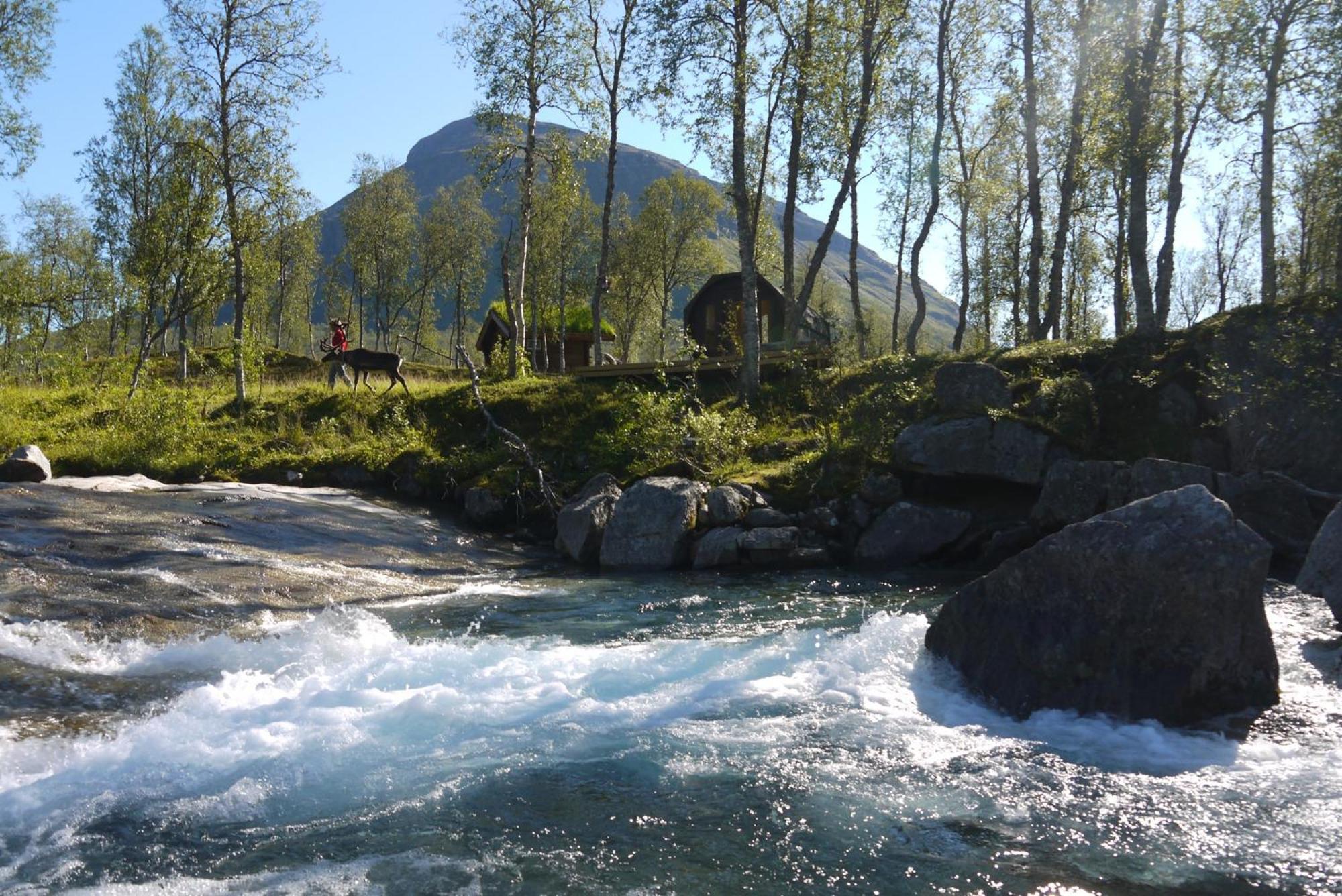 Bardu Huskylodge 外观 照片
